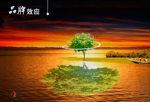 品牌效應