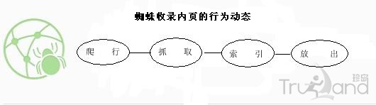 蜘蛛收錄內(nèi)頁(yè)行為動(dòng)態(tài)